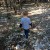 Walking the new property