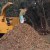 I can handle this pile of mulch for you dad!