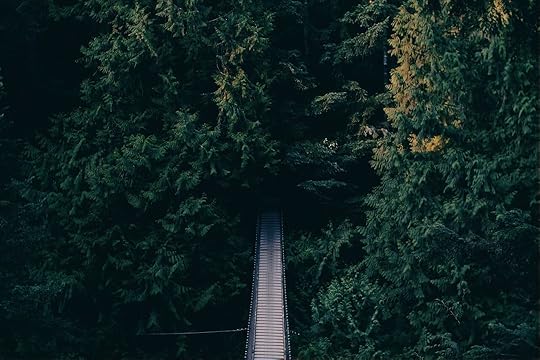 foot-bridge-918476_1280