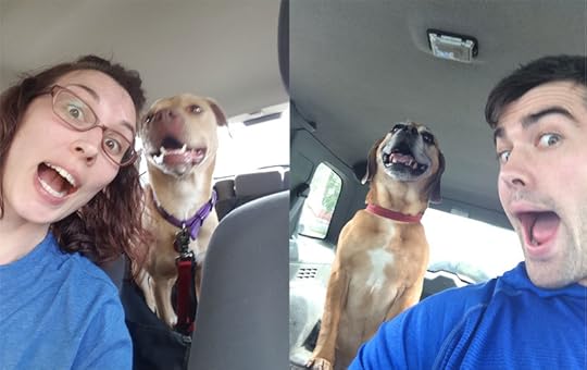 sibling similarities 