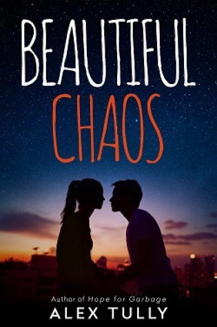 Review – Beautiful Chaos by Alex Tully