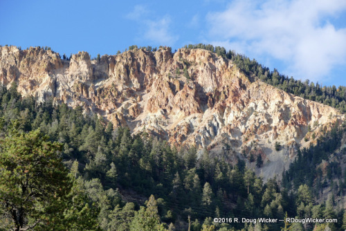 Taos Loop Fall Foliage-024