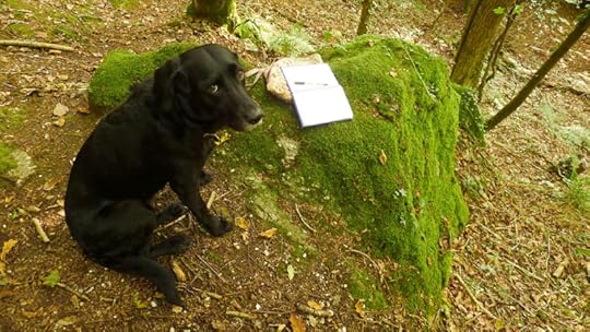 Writing in the woods