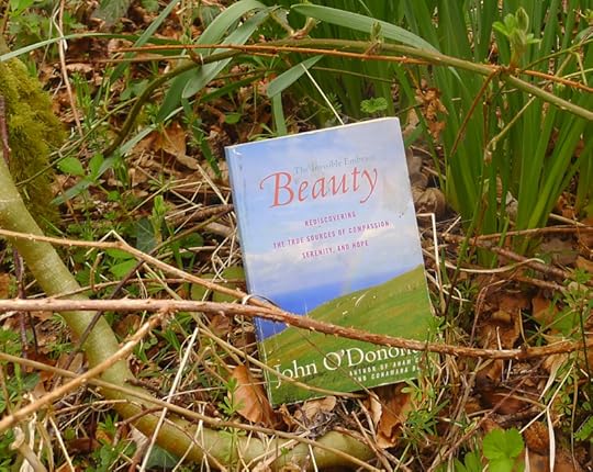 Beauty by John O'Donohue