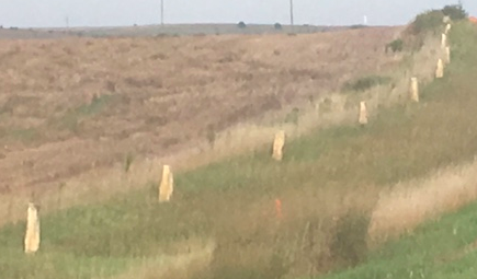 rock-post-fence
