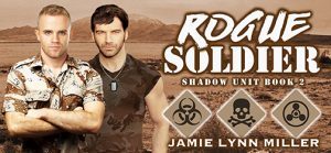 rogue-soldier-banner-small