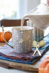 pumpkin-creamer-recipe