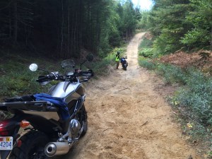 img_0334