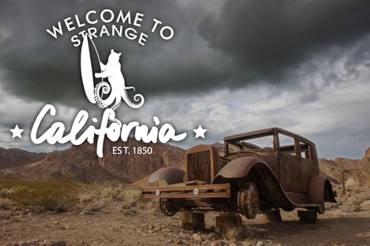 sunset view with palms in Santa monica, California
