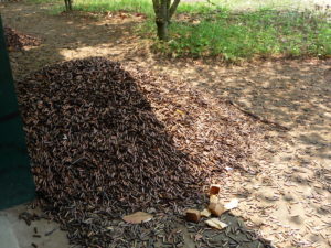 Gun enthusiasts rejoice: Cu Chi Tunnels offers up the ammo.