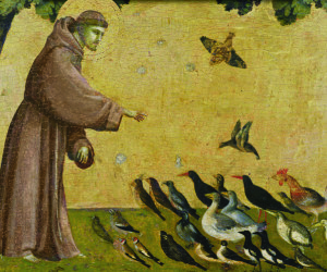 St. Francis: He's Not Just For the Birds
