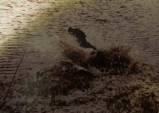 Tess Hits Waterx