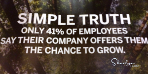 employee growth, engagement, stretch goals, stretch assignments, leadership