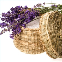 lavender4