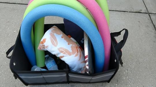 Rugged Trunk Organizer