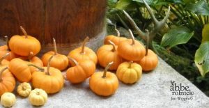 Summer Greets Autumn