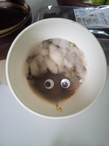 It's Sean the sheep, it's Sean the sheep ... he even hangs around with those who ... actually I'm not sure who he hangs out with to look like this. He was Meditarranean chicken.