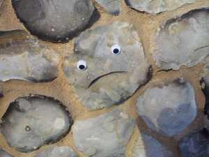 I don't think he approves ...