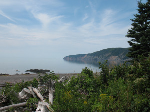 summer-2010-005