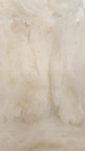 20160927_103801