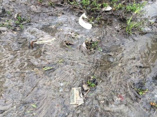 sewage