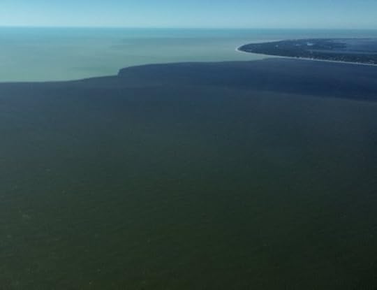 swfl3