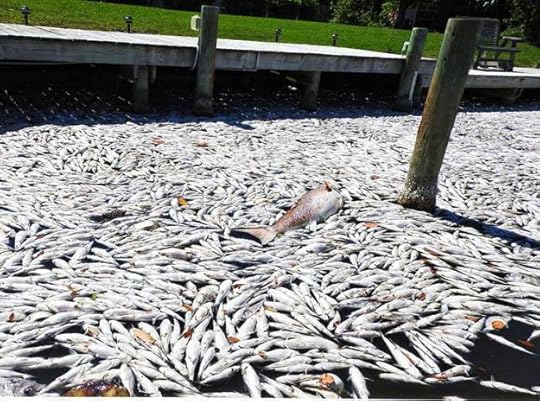 deadfish