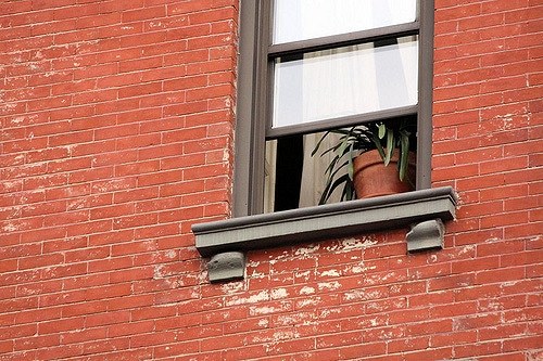 Window without a View