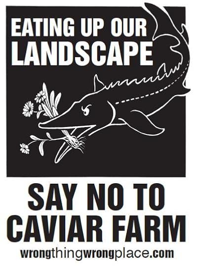 sayno-landscape