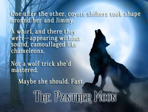 promo-image-for-the-panther-moon-jpg-1