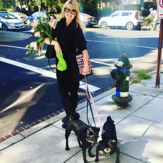 screen-shot-2016-09-30-at-4-56-05-pm