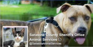 SarasotaAnimalServices