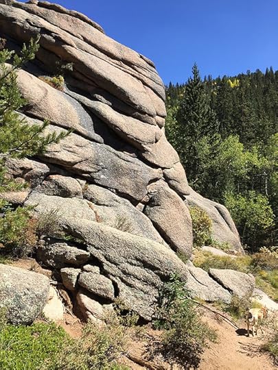 Raspberry Mountain CO