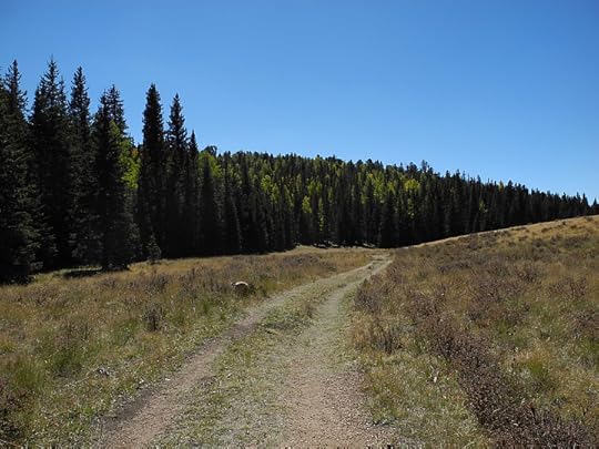 Raspberry Mountain trail