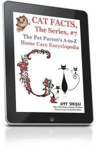 ipadverticalright_634x982