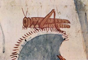 locust-medieval-manuscript