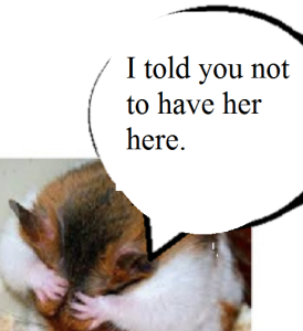 zdickensnsnnnsnsfdnfbdsnfbdnfbdnfbdnfbdnf