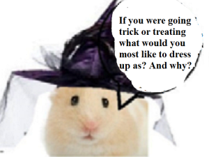 zsilvsounfair278787878787878