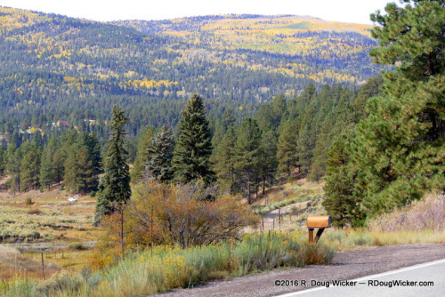 Entering fall foliage country