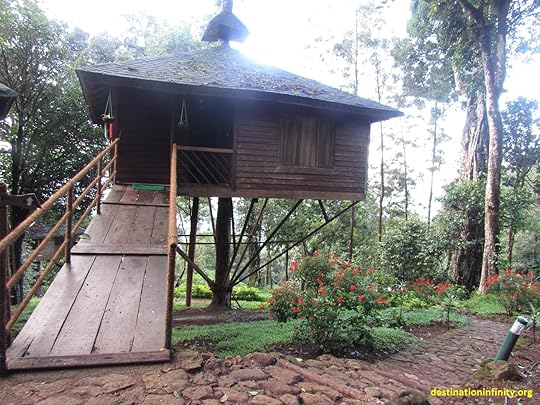 tree-house-at-munnar-kerala-india-1