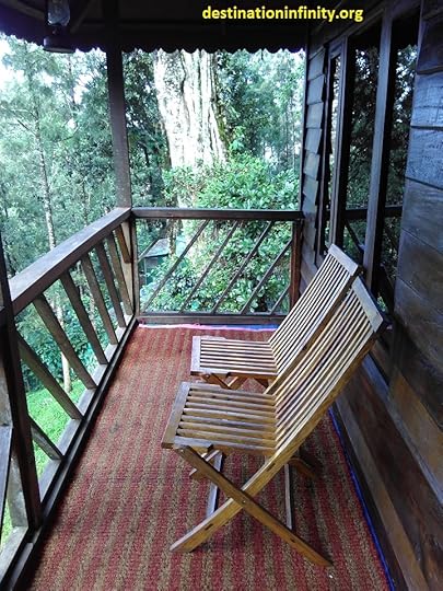 tree-house-at-munnar-kerala-india-7