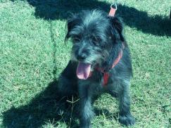 smaller-judi-twiggles-at-hoffman-park-d-10-01-14