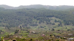 P1060617