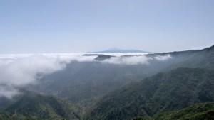 P1060512