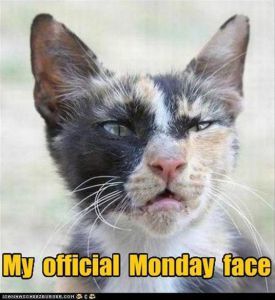 monday-face