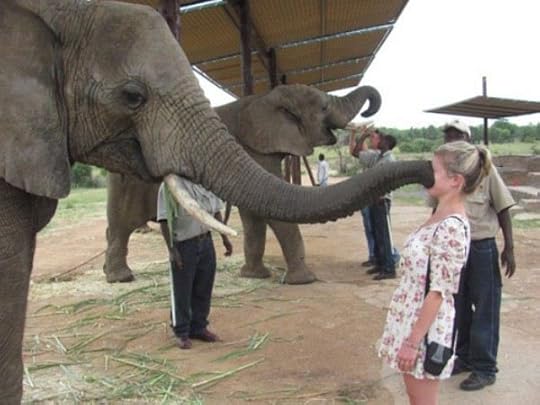 Image result for photo of animal shushing