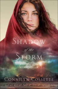 Shadow in the Storm