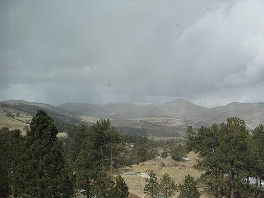 spring snow flurry
