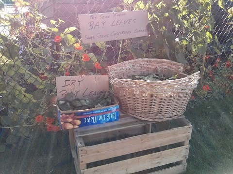 Photo: How to create social capital in your neighbourhood