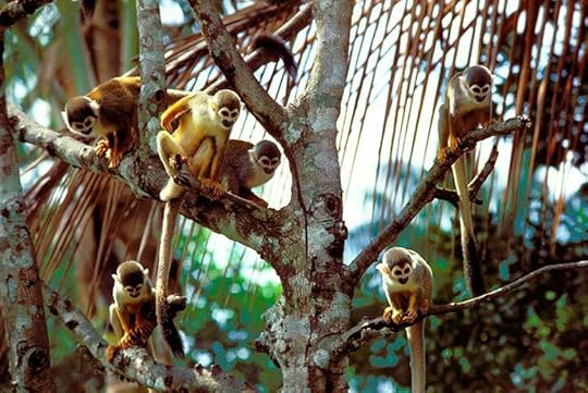 (Photo: Wolfgang Kaehler/LightRocket via Getty Images)